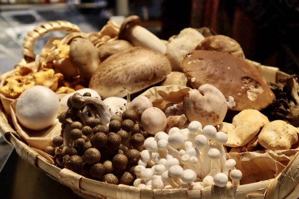 Conseils pratiques pour la haute couture : Sélectionner le tissu idéal pour vos créations